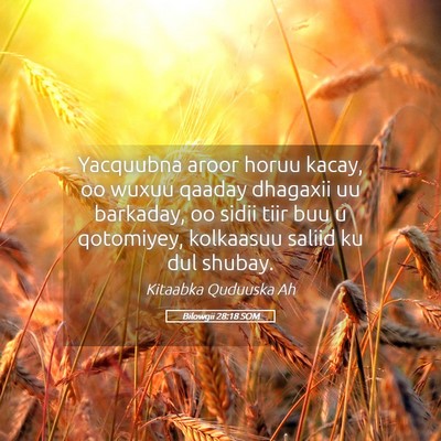 Picture 05 - Bilowgii 28:18 SOM - Yacquubna aroor horuu kacay, oo wuxuu qaaday - Bible Verse Picture