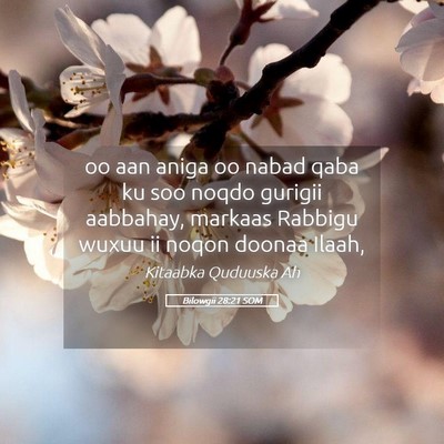 Picture 05 - Bilowgii 28:21 SOM - oo aan aniga oo nabad qaba ku soo noqdo gurigii - Bible Verse Picture