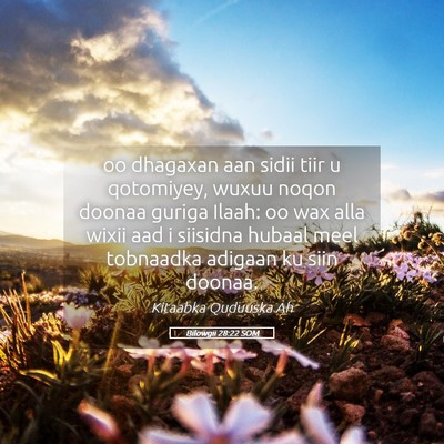 Picture 05 - Bilowgii 28:22 SOM - oo dhagaxan aan sidii tiir u qotomiyey, wuxuu - Bible Verse Picture