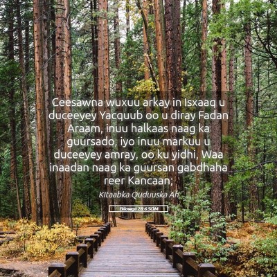 Picture 05 - Bilowgii 28:6 SOM - Ceesawna wuxuu arkay in Isxaaq u duceeyey Yacquub - Bible Verse Picture