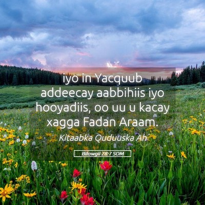 Picture 05 - Bilowgii 28:7 SOM - iyo in Yacquub addeecay aabbihiis iyo hooyadiis, - Bible Verse Picture