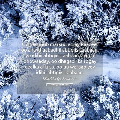 Picture 05 - Bilowgii 29:10 SOM - Oo Yacquub markuu arkay Raaxeel oo ahayd gabadhii - Bible Verse Picture
