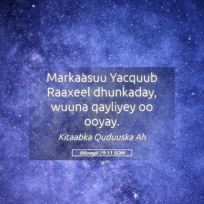 Picture 05 - Bilowgii 29:11 SOM - Markaasuu Yacquub Raaxeel dhunkaday, wuuna - Bible Verse Picture