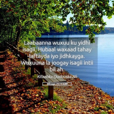 Picture 05 - Bilowgii 29:14 SOM - Laabaanna wuxuu ku yidhi isagii, Hubaal waxaad - Bible Verse Picture