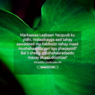 Picture 05 - Bilowgii 29:15 SOM - Markaasaa Laabaan Yacquub ku yidhi, Walaalkayga - Bible Verse Picture