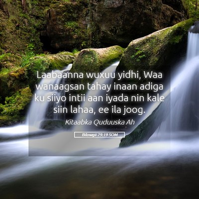 Picture 05 - Bilowgii 29:19 SOM - Laabaanna wuxuu yidhi, Waa wanaagsan tahay inaan - Bible Verse Picture