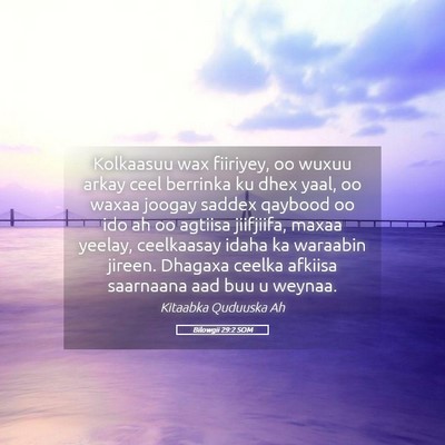 Picture 05 - Bilowgii 29:2 SOM - Kolkaasuu wax fiiriyey, oo wuxuu arkay ceel - Bible Verse Picture