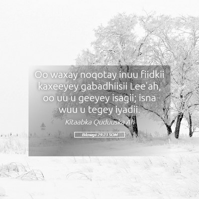 Picture 05 - Bilowgii 29:23 SOM - Oo waxay noqotay inuu fiidkii kaxeeyey - Bible Verse Picture