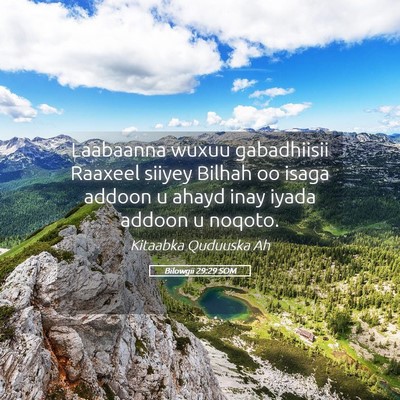 Picture 05 - Bilowgii 29:29 SOM - Laabaanna wuxuu gabadhiisii Raaxeel siiyey Bilhah - Bible Verse Picture