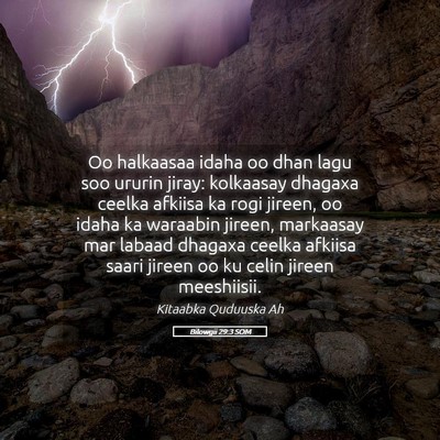 Picture 05 - Bilowgii 29:3 SOM - Oo halkaasaa idaha oo dhan lagu soo ururin jiray: - Bible Verse Picture
