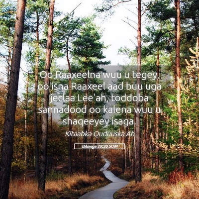 Picture 05 - Bilowgii 29:30 SOM - Oo Raaxeelna wuu u tegey, oo isna Raaxeel aad buu - Bible Verse Picture