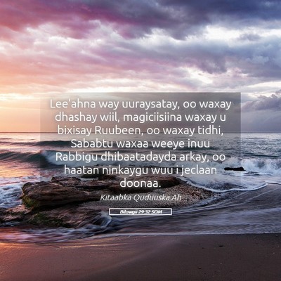 Picture 05 - Bilowgii 29:32 SOM - Lee'ahna way uuraysatay, oo waxay dhashay wiil, - Bible Verse Picture