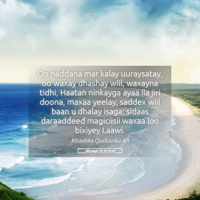 Picture 05 - Bilowgii 29:34 SOM - Oo haddana mar kalay uuraysatay, oo waxay dhashay - Bible Verse Picture