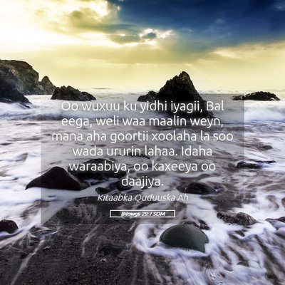 Picture 05 - Bilowgii 29:7 SOM - Oo wuxuu ku yidhi iyagii, Bal eega, weli waa - Bible Verse Picture
