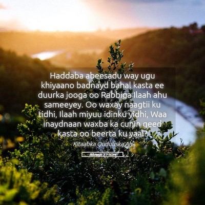 Picture 05 - Bilowgii 3:1 SOM - Haddaba abeesadu way ugu khiyaano badnayd bahal - Bible Verse Picture