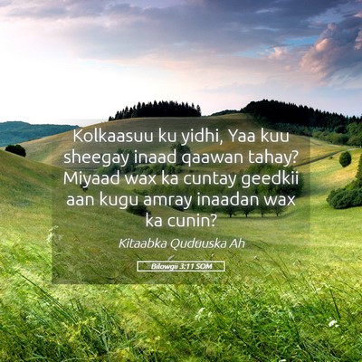 Picture 05 - Bilowgii 3:11 SOM - Kolkaasuu ku yidhi, Yaa kuu sheegay inaad qaawan - Bible Verse Picture