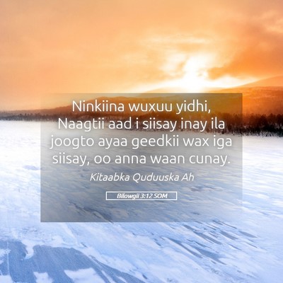 Picture 05 - Bilowgii 3:12 SOM - Ninkiina wuxuu yidhi, Naagtii aad i siisay inay - Bible Verse Picture
