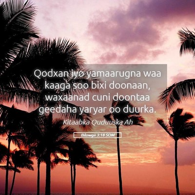 Picture 05 - Bilowgii 3:18 SOM - Qodxan iyo yamaarugna waa kaaga soo bixi doonaan, - Bible Verse Picture