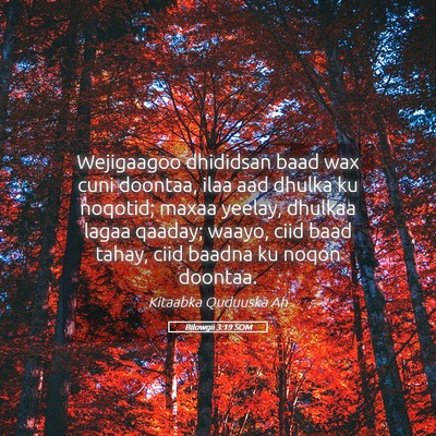 Picture 05 - Bilowgii 3:19 SOM - Wejigaagoo dhididsan baad wax cuni doontaa, ilaa - Bible Verse Picture