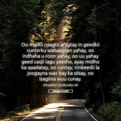 Picture 05 - Bilowgii 3:6 SOM - Oo markii naagtii aragtay in geedkii cunto ku - Bible Verse Picture