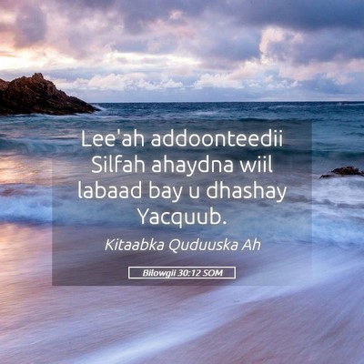 Picture 05 - Bilowgii 30:12 SOM - Lee'ah addoonteedii Silfah ahaydna wiil labaad - Bible Verse Picture