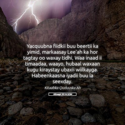 Picture 05 - Bilowgii 30:16 SOM - Yacquubna fiidkii buu beertii ka yimid, markaasay - Bible Verse Picture
