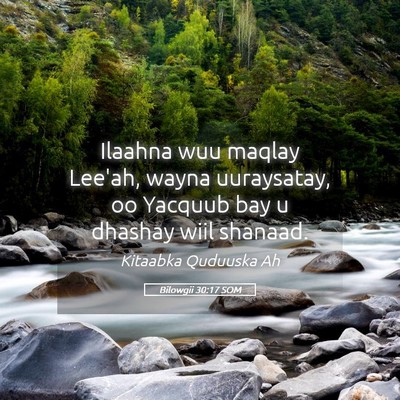 Picture 05 - Bilowgii 30:17 SOM - Ilaahna wuu maqlay Lee'ah, wayna uuraysatay, oo - Bible Verse Picture