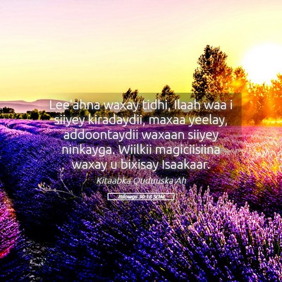 Picture 05 - Bilowgii 30:18 SOM - Lee'ahna waxay tidhi, Ilaah waa i siiyey - Bible Verse Picture