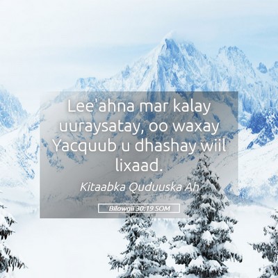 Picture 05 - Bilowgii 30:19 SOM - Lee'ahna mar kalay uuraysatay, oo waxay Yacquub u - Bible Verse Picture