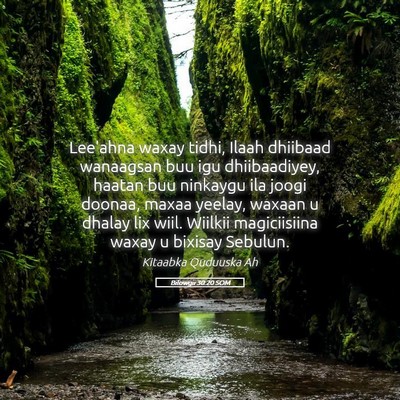 Picture 05 - Bilowgii 30:20 SOM - Lee'ahna waxay tidhi, Ilaah dhiibaad wanaagsan - Bible Verse Picture