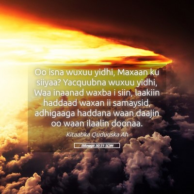 Picture 05 - Bilowgii 30:31 SOM - Oo isna wuxuu yidhi, Maxaan ku siiyaa? Yacquubna - Bible Verse Picture