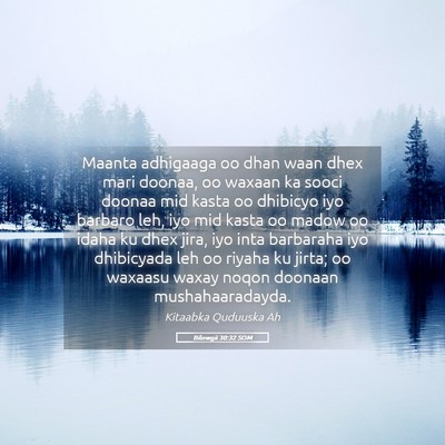 Picture 05 - Bilowgii 30:32 SOM - Maanta adhigaaga oo dhan waan dhex mari doonaa, - Bible Verse Picture