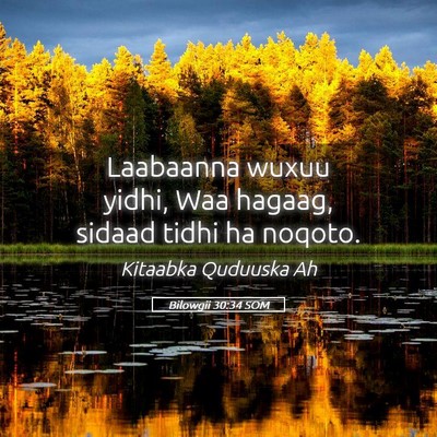 Picture 05 - Bilowgii 30:34 SOM - Laabaanna wuxuu yidhi, Waa hagaag, sidaad tidhi - Bible Verse Picture