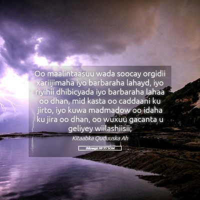 Picture 05 - Bilowgii 30:35 SOM - Oo maalintaasuu wada soocay orgidii xariijimaha - Bible Verse Picture