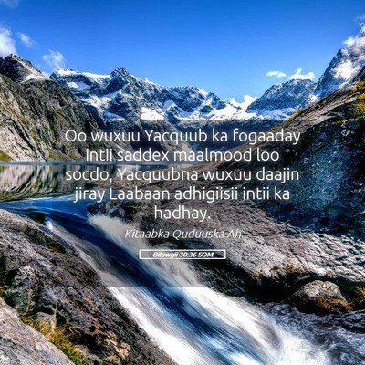 Picture 05 - Bilowgii 30:36 SOM - Oo wuxuu Yacquub ka fogaaday intii saddex - Bible Verse Picture