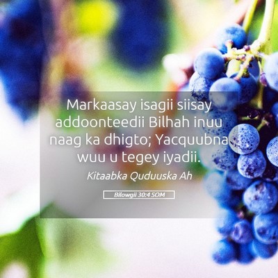 Picture 05 - Bilowgii 30:4 SOM - Markaasay isagii siisay addoonteedii Bilhah inuu - Bible Verse Picture