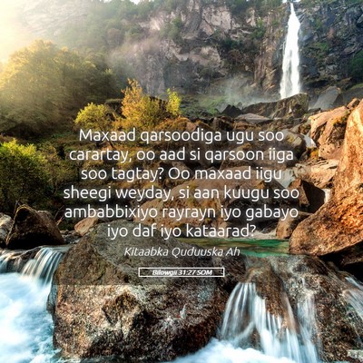 Picture 05 - Bilowgii 31:27 SOM - Maxaad qarsoodiga ugu soo carartay, oo aad si - Bible Verse Picture