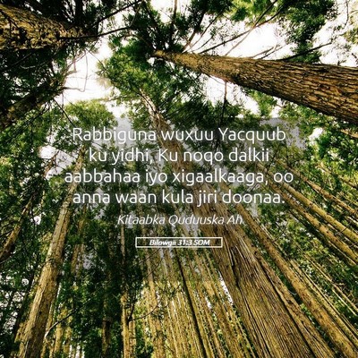Picture 05 - Bilowgii 31:3 SOM - Rabbiguna wuxuu Yacquub ku yidhi, Ku noqo dalkii - Bible Verse Picture