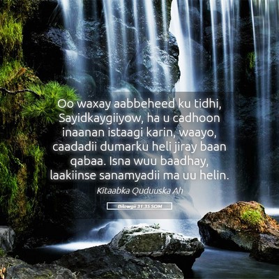 Picture 05 - Bilowgii 31:35 SOM - Oo waxay aabbeheed ku tidhi, Sayidkaygiiyow, ha u - Bible Verse Picture
