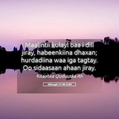 Picture 05 - Bilowgii 31:40 SOM - Maalintii kulayl baa i dili jiray, habeenkiina - Bible Verse Picture