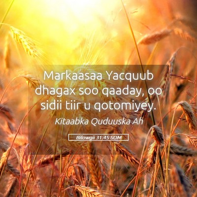 Picture 05 - Bilowgii 31:45 SOM - Markaasaa Yacquub dhagax soo qaaday, oo sidii - Bible Verse Picture
