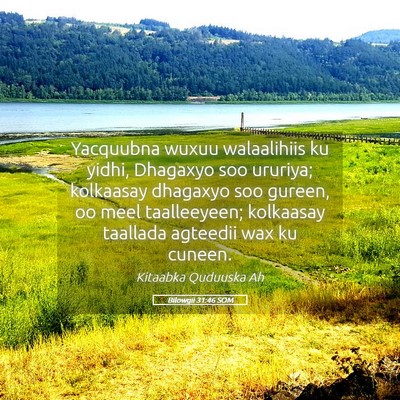 Picture 05 - Bilowgii 31:46 SOM - Yacquubna wuxuu walaalihiis ku yidhi, Dhagaxyo - Bible Verse Picture