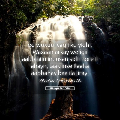 Picture 05 - Bilowgii 31:5 SOM - oo wuxuu iyagii ku yidhi, Waxaan arkay wejigii - Bible Verse Picture