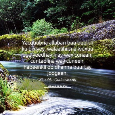 Picture 05 - Bilowgii 31:54 SOM - Yacquubna allabari buu buurtii ku bixiyey, - Bible Verse Picture