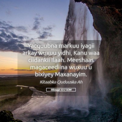 Picture 05 - Bilowgii 32:2 SOM - Yacquubna markuu iyagii arkay wuxuu yidhi, Kanu - Bible Verse Picture