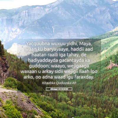 Picture 05 - Bilowgii 33:10 SOM - Yacquubna wuxuu yidhi, Maya, waan ku baryayaaye, - Bible Verse Picture