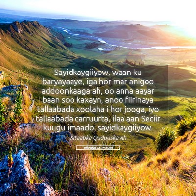 Picture 05 - Bilowgii 33:14 SOM - Sayidkaygiiyow, waan ku baryayaaye, iga hor mar - Bible Verse Picture