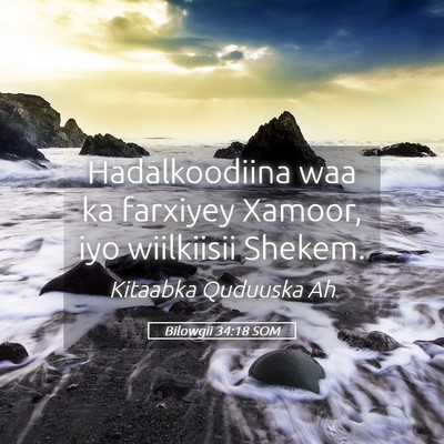 Picture 05 - Bilowgii 34:18 SOM - Hadalkoodiina waa ka farxiyey Xamoor, iyo - Bible Verse Picture