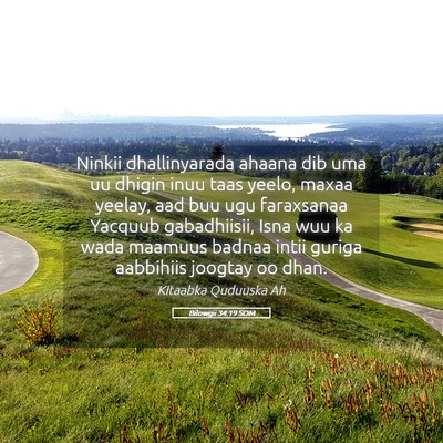 Picture 05 - Bilowgii 34:19 SOM - Ninkii dhallinyarada ahaana dib uma uu dhigin - Bible Verse Picture