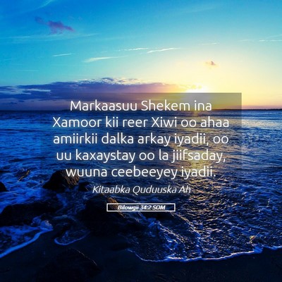 Picture 05 - Bilowgii 34:2 SOM - Markaasuu Shekem ina Xamoor kii reer Xiwi oo ahaa - Bible Verse Picture